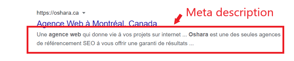 meta description