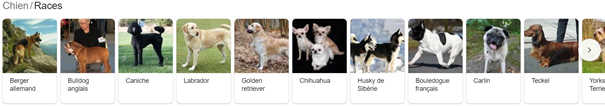 knowledge graph snippet