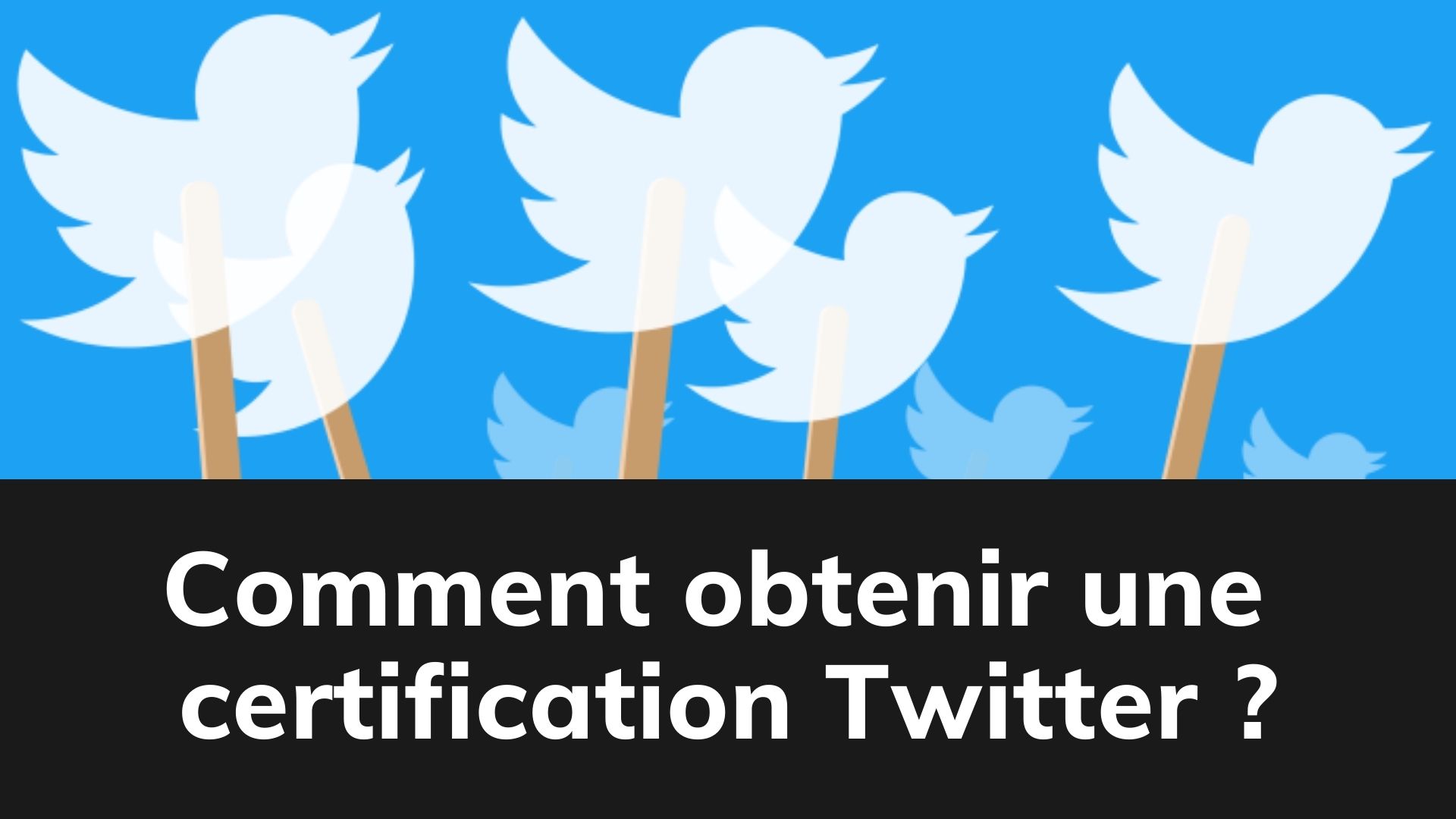 Comment obtenir une certification twitter ?