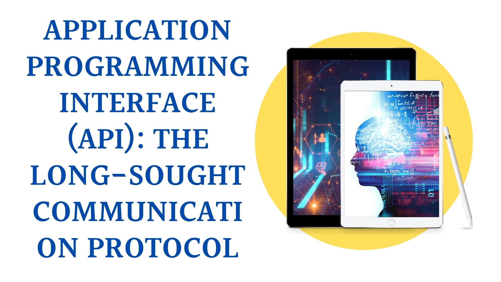 Application Programming Interface (API): The Long-sought Communication Protocol