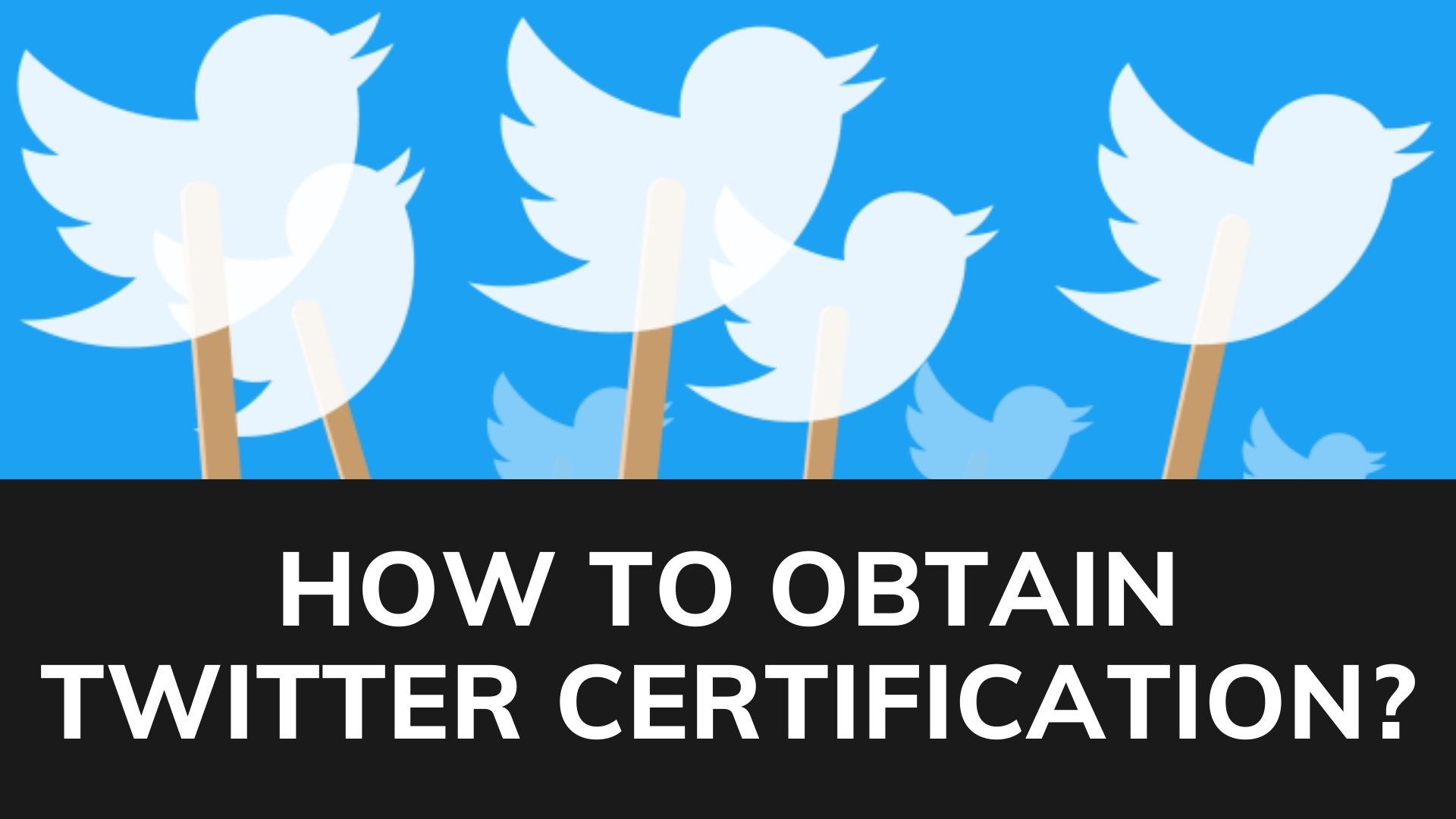 How to obtain twitter certification?