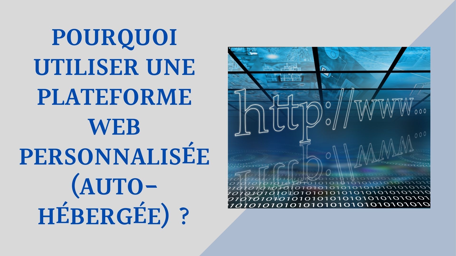 POURQUOI UTILISER UNE PLATEFORME WEB PERSONNALISÉE (AUTO-HÉBERGÉE) ?